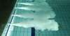 Myconian Ambassador Hotel & Thalasso Spa 